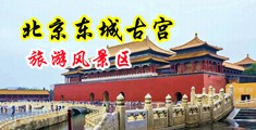 操逼操逼操逼操逼操逼操逼逼中国北京-东城古宫旅游风景区