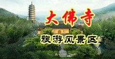 www.操逼呀中国浙江-新昌大佛寺旅游风景区